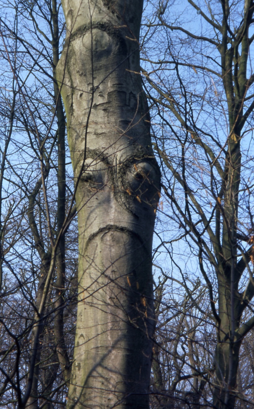 image003