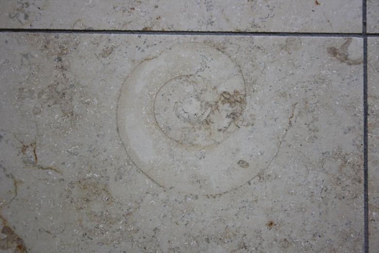 image019
