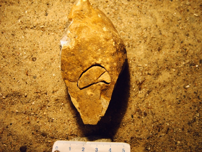 Seeigel in Flint, Klapperstein